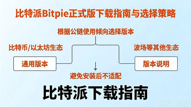 比特派公司_比特派Bitpie正式版下载的操作流程与决策_比特派是怎么样的平台